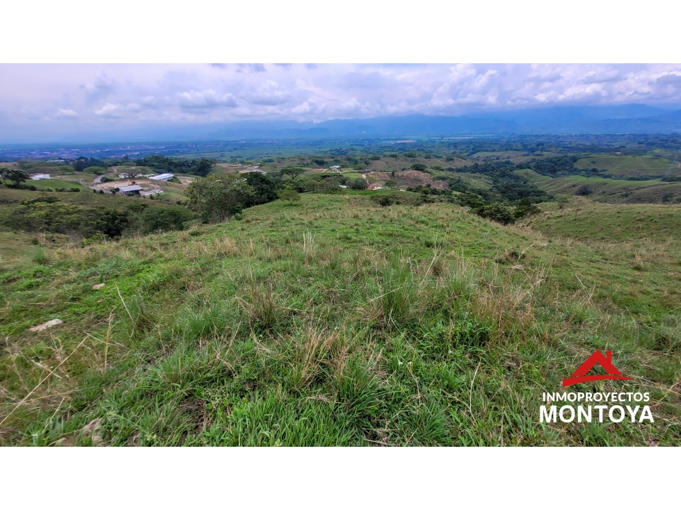 Finca suburbana en Cerritos sobre la vía Pereira-Cartago — foto 4