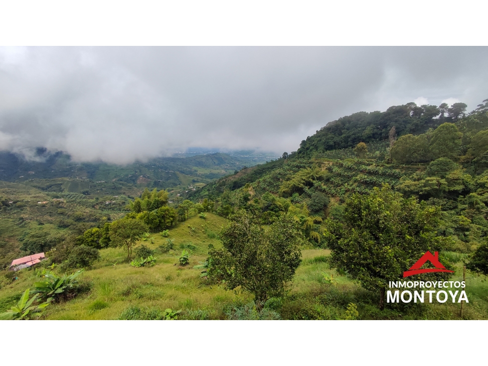 Espectacular vista! Finca en San Vicente, Combia — foto 5