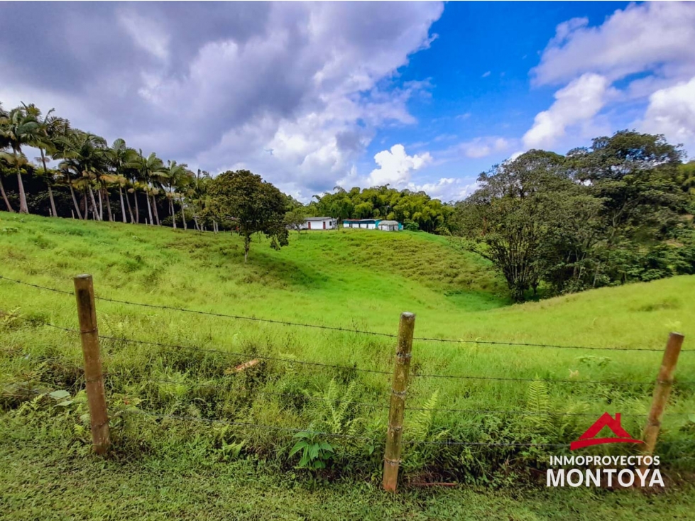 Finca ganadera en Condina, Pereira — foto 5