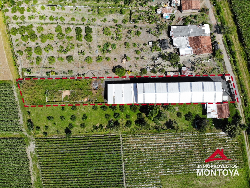 Oportunidad única! Bodega en Andalucía Valle - 4
