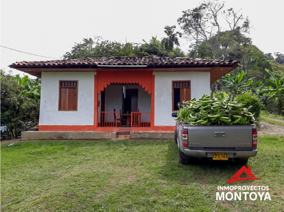 Finca cafetera a 10 min de Balboa, Risaralda - 2