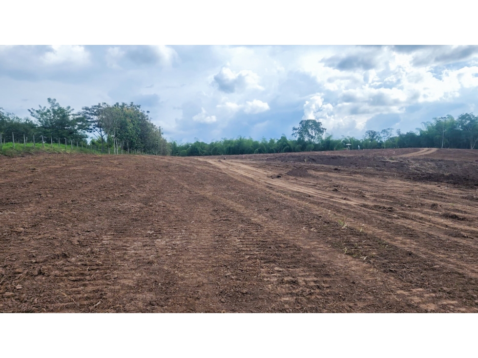 Lotes campestres en exclusivo condominio, Cerritos, Pereira — foto 6