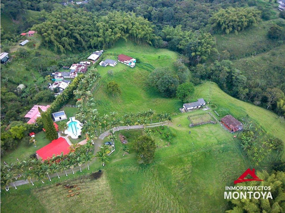 Finca ganadera en Condina, Pereira
