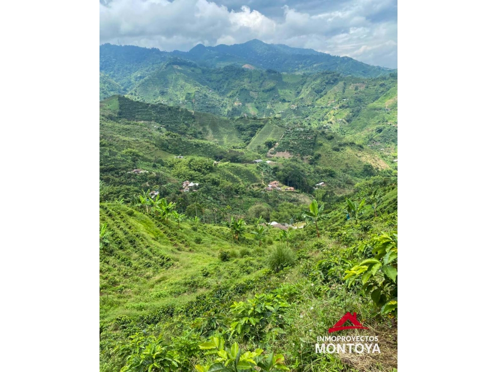 Finca cafetera tecnificada en Combia, Pereira — foto 6