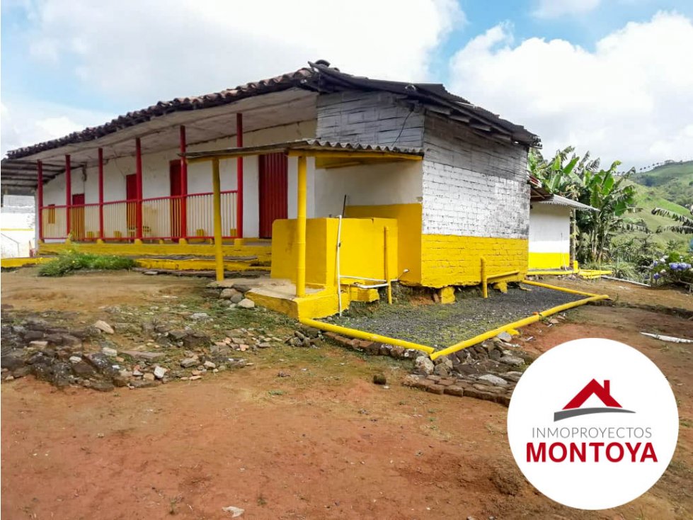 SE VENDE FINCA CAFETERA SECTOR ALTAGRACIA — foto 2