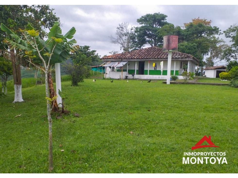 Finca ganadera en Arabia, Pereira — foto 2
