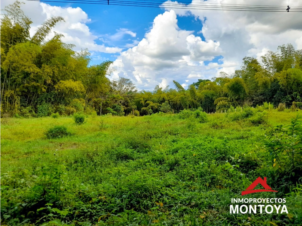 Lote campestre sector de la siria, Pereira — foto 3