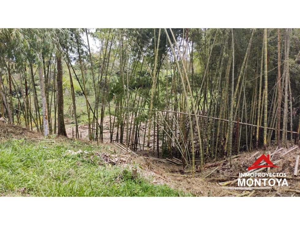 Lote suburbano multipropósito en Cerritos, Pereira — foto 4