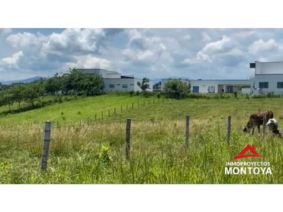 Lotes campestres en parcelación, Cerritos, Pereira — foto 2