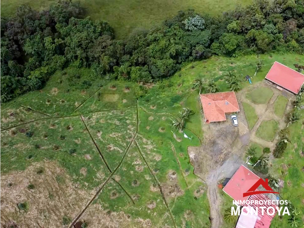 Finca de aguacate Hass, sector El Manzano, Pereira — foto 2
