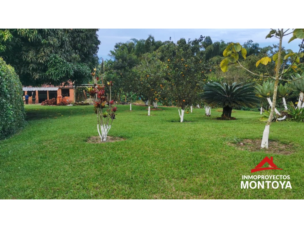 Casa-finca campestre en Morelia, Pereira — foto 6