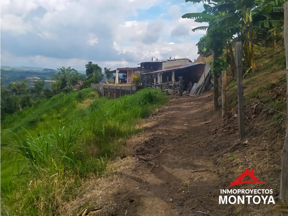 Finca productiva en la vía a Altagracia, Pereira — foto 2