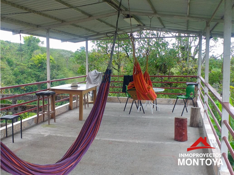 Finca cafetera de 23 cuadras en la vía a Armenia — foto 3