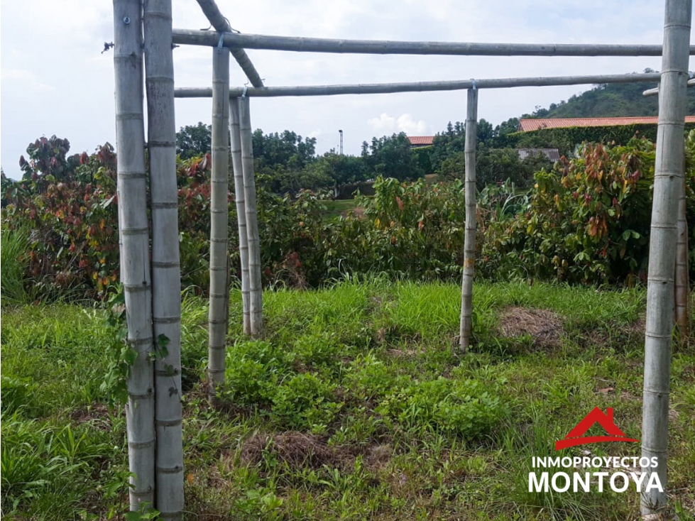 Lote campestre en Combia, sector San Marino, Pereira — foto 5