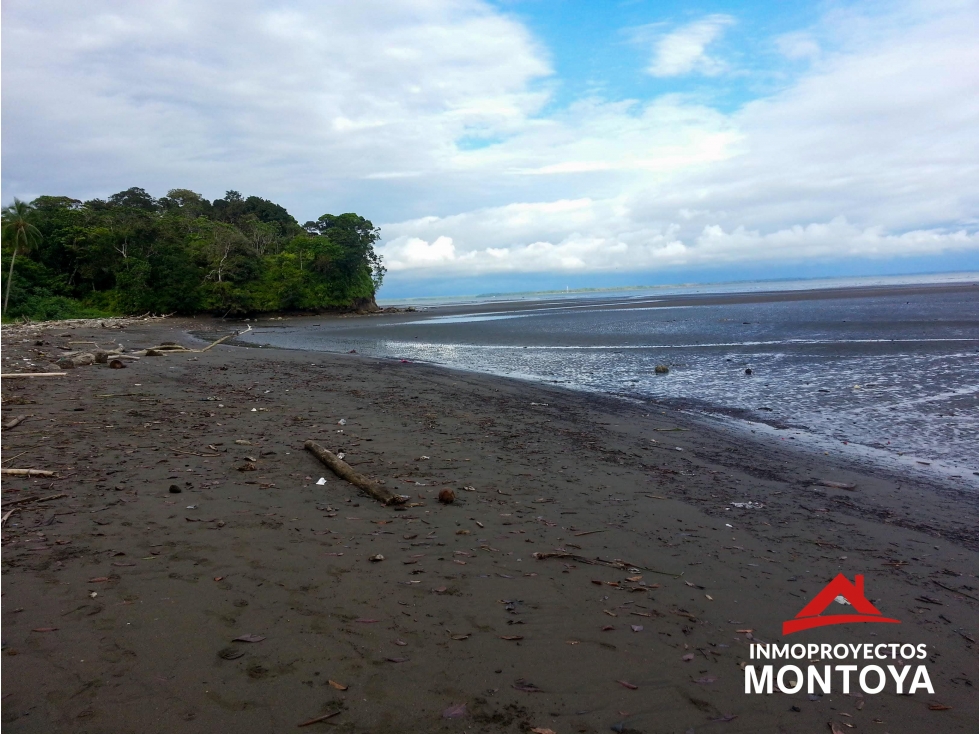 Oportunidad? Lote con playa en Piangua Grande, Buenaventura - 2