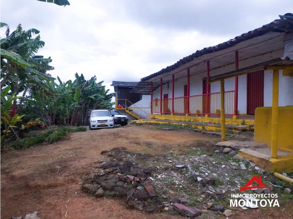 Finca cafetera tecnificada en Altagracia, Pereira — foto 2