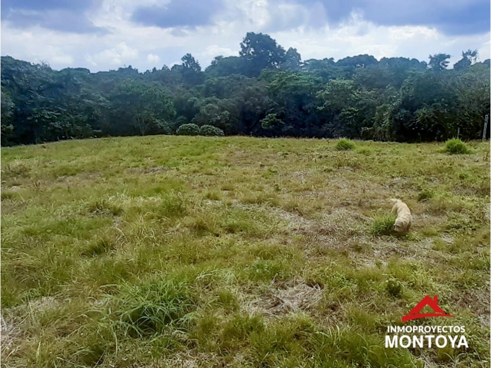 Lote en condominio a 7 min de Filandia, Quindío - 1