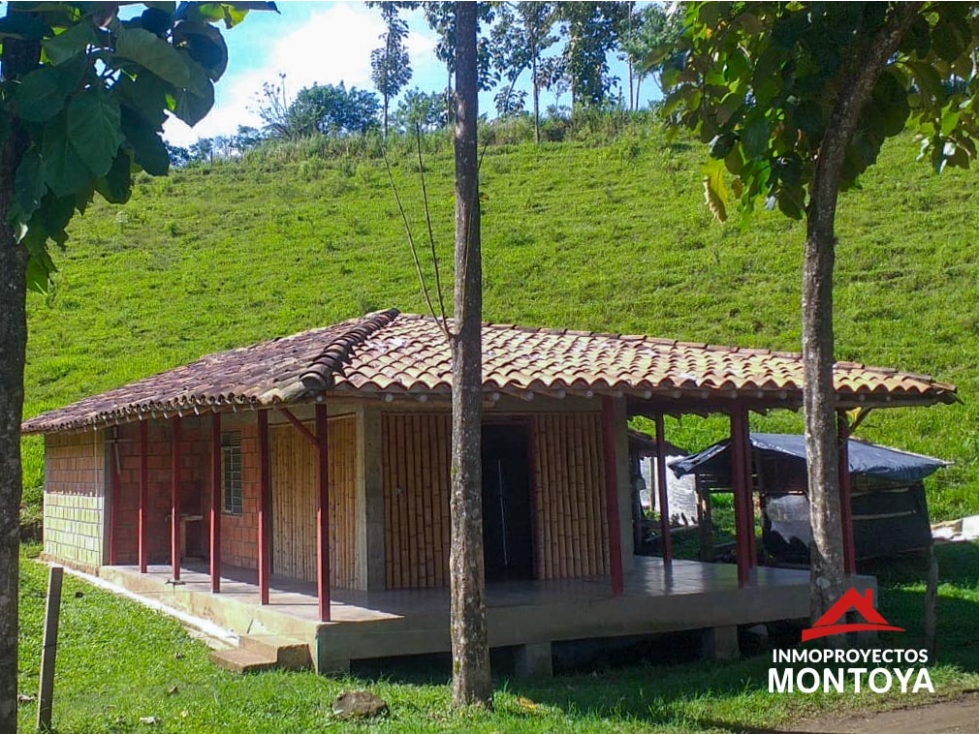 Oportunidad? Finca ganadera, sector Combia-La Honda, Pereira — foto 5