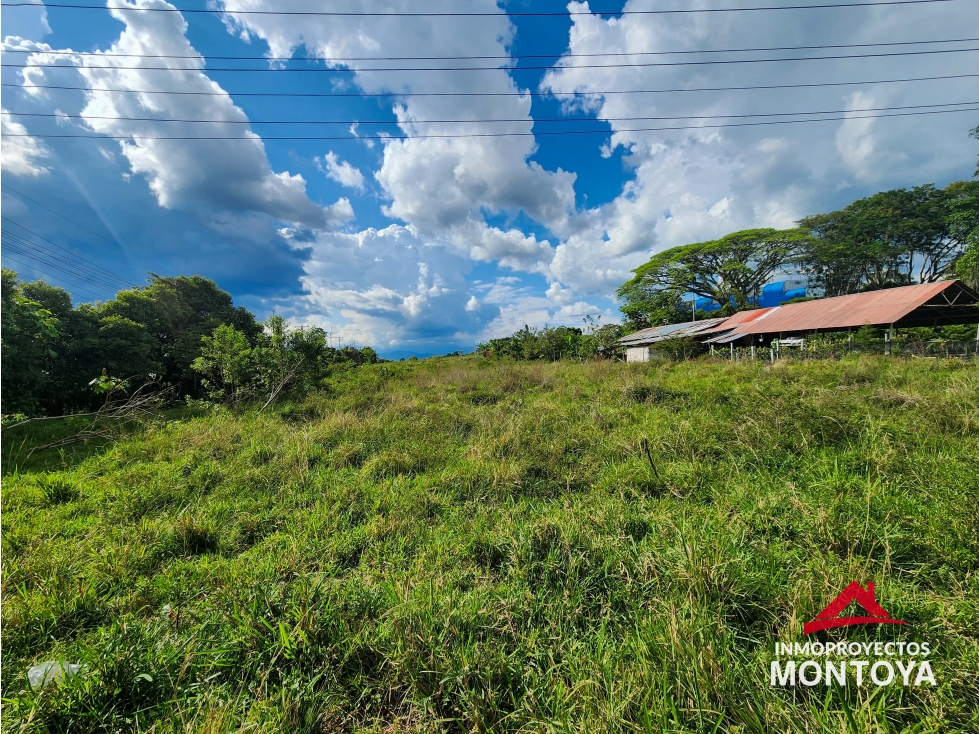 Arriendo lote comercial en la vía de Cerritos, Pereira - 4