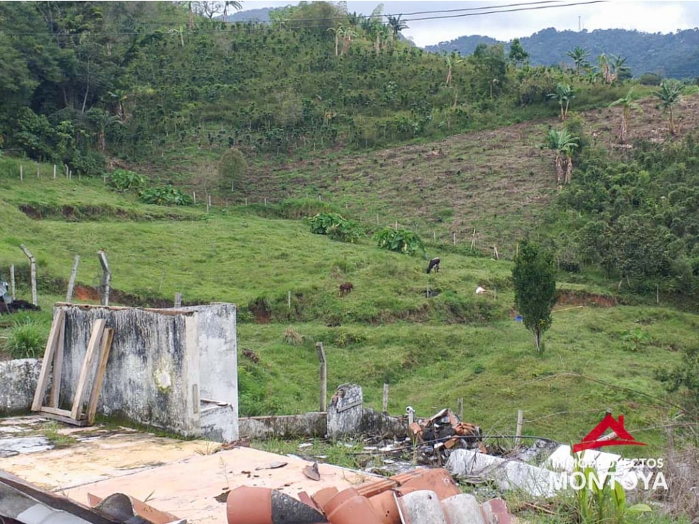 Finca ganadera en Combia, Pereira — foto 4