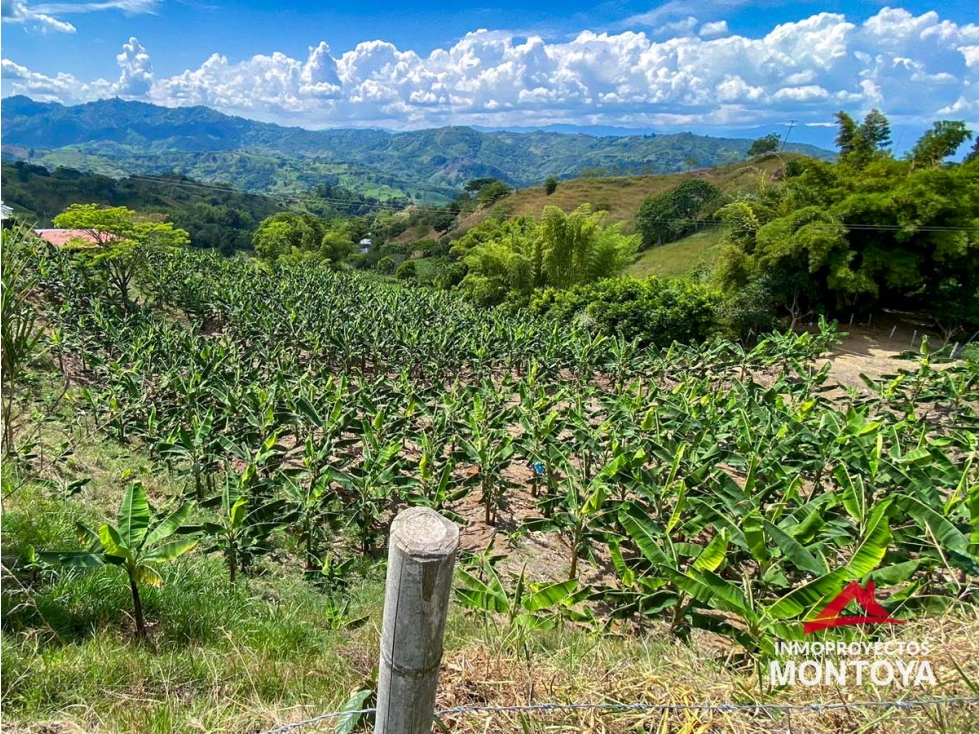 Excelente valor? Lote en sector vía Alcalá-Cartago - 2