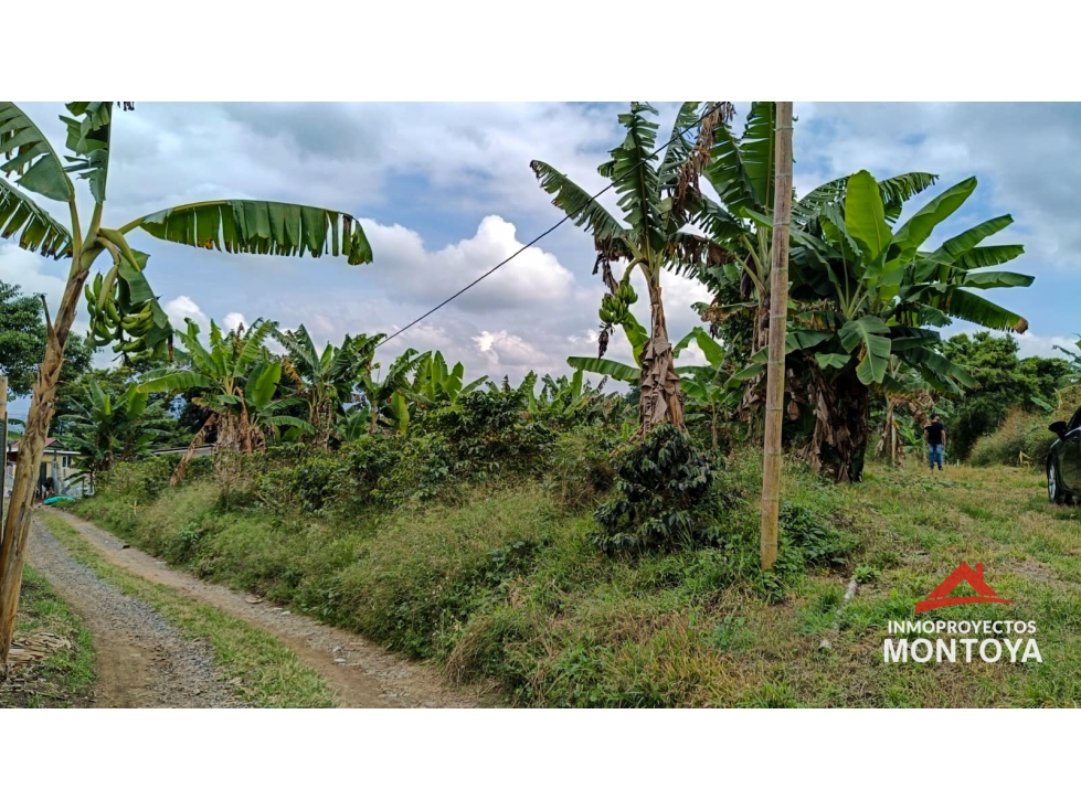 Lote en Arabia, Pereira — foto 2