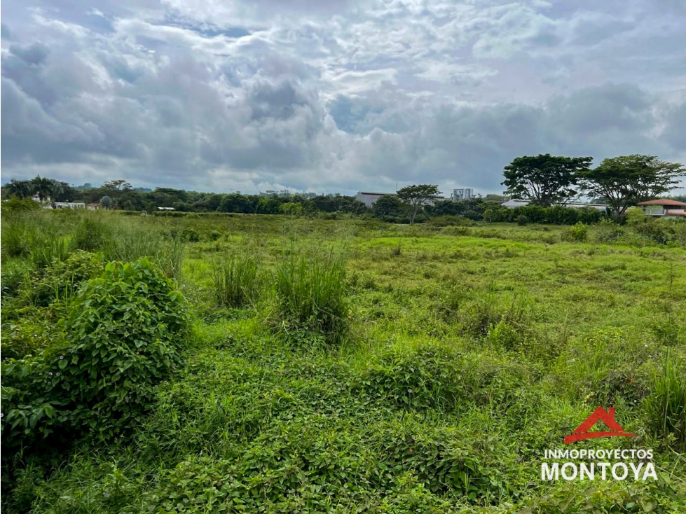 Lote sector Cerritos, Pereira — foto 2