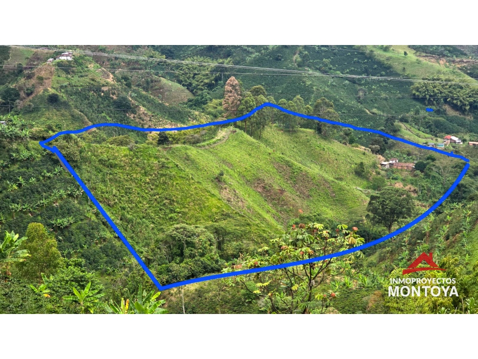 Venta finca productiva en Santa Rosa de Cabal, Risaralda — foto 2