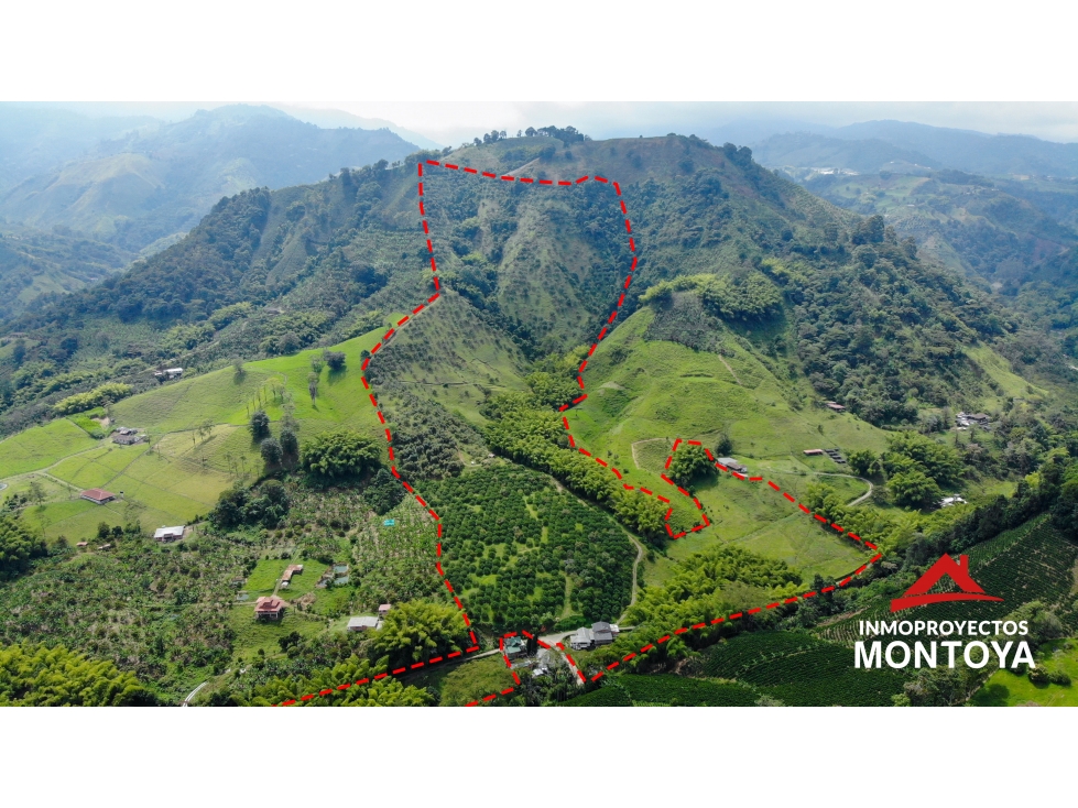 Finca productiva tecnificada exportadora en Santa Rosa de Cabal