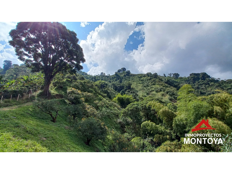 Finca productiva tecnificada exportadora en Santa Rosa de Cabal — foto 6