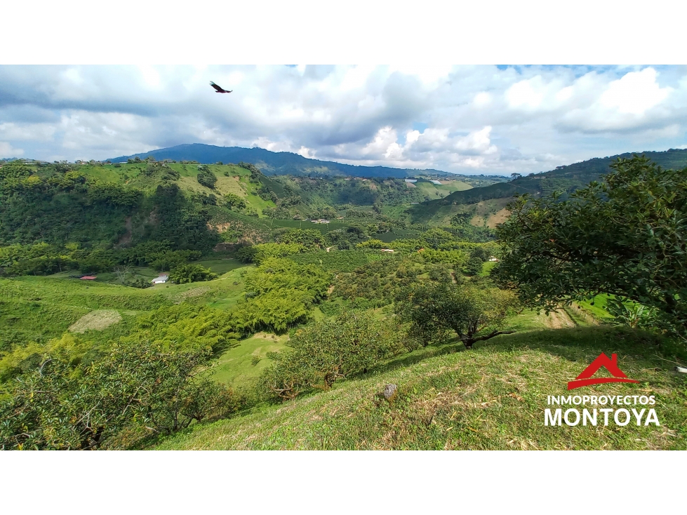 Finca productiva tecnificada exportadora en Santa Rosa de Cabal — foto 5