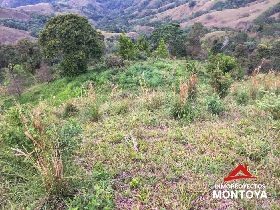 Finca de 24 cuadras en Marsella, Risaralda - 3