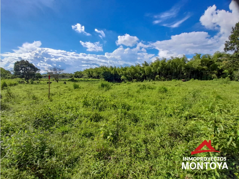 Lote campestre sector de la siria, Pereira