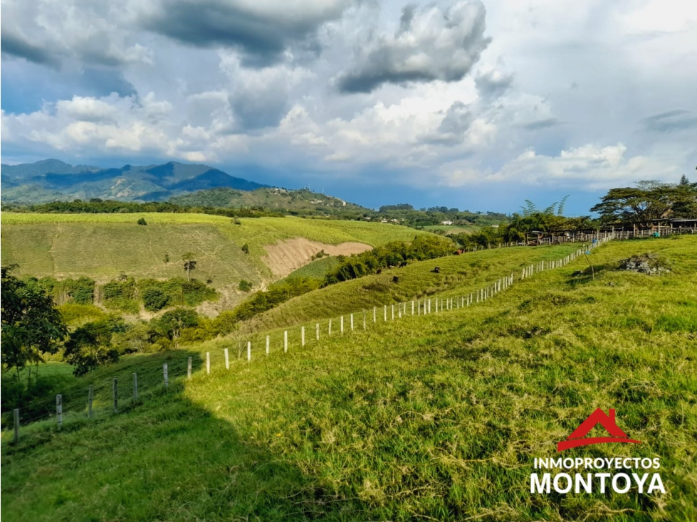 Lotes campestres en parcelación, Cerritos, Pereira — foto 4