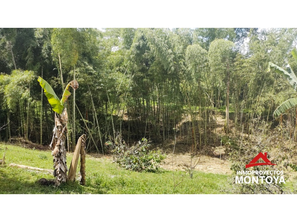 Lote suburbano multipropósito en Cerritos, Pereira — foto 5