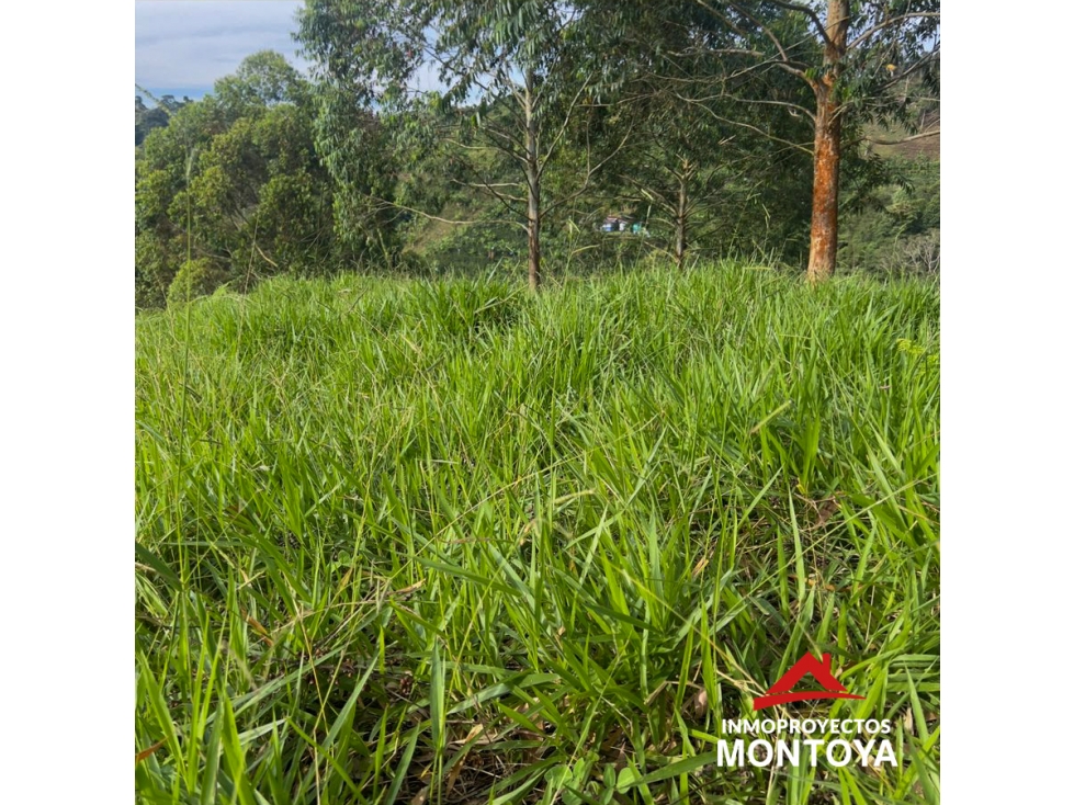 Finca ganadera de 28 cuadras en Marsella — foto 3