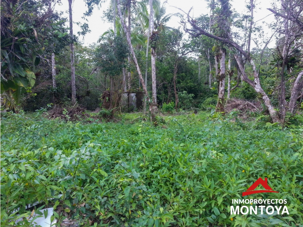 Oportunidad? Lote con playa en Piangua Grande, Buenaventura - 3