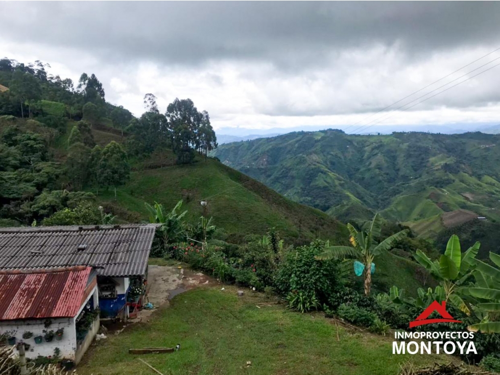 Finca cafetera tecnificada en Marsella, Risaralda - 3