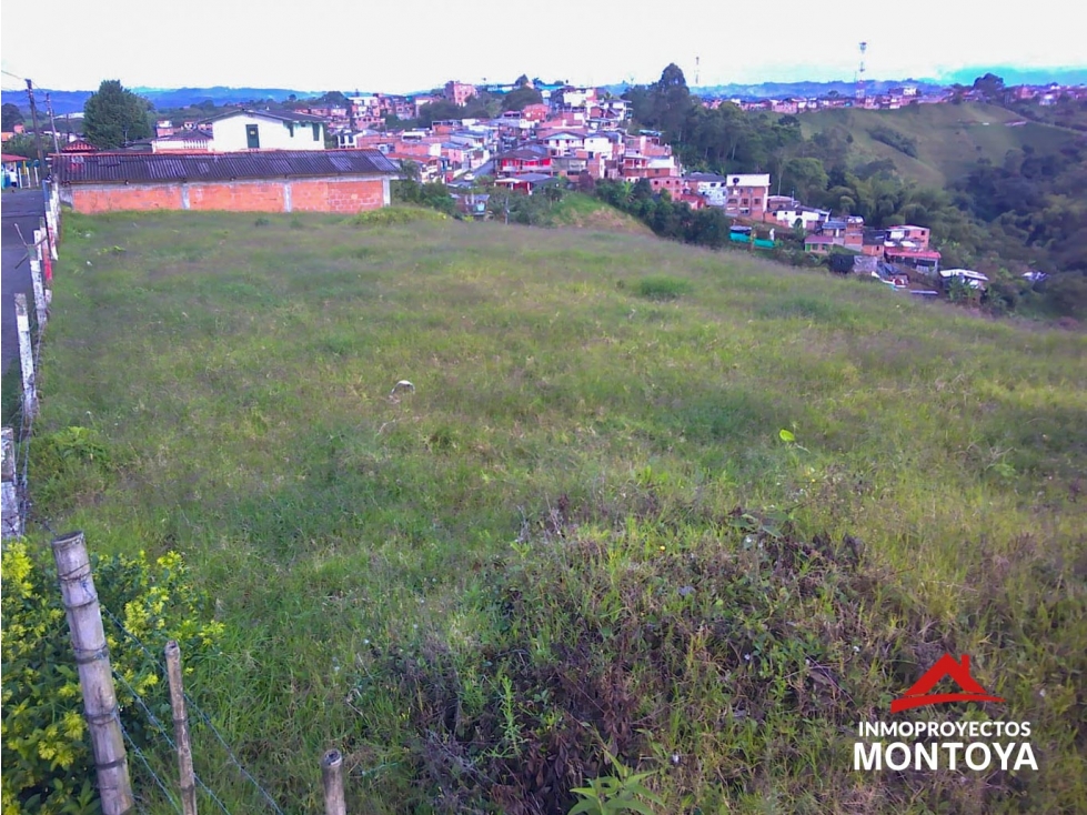 Lotes 7m x 25m para casa en Altagracia, Pereira — foto 4