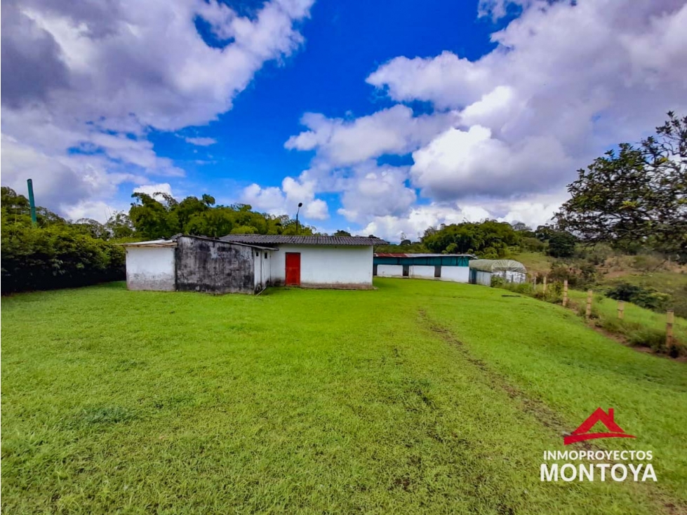 Finca ganadera en Condina, Pereira — foto 3