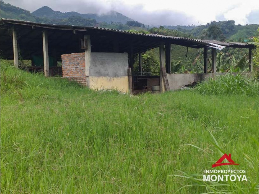 Finca ganadera en Combia, Pereira — foto 6