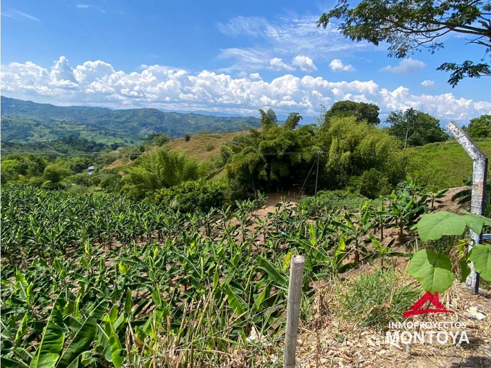 Excelente valor? Lote en sector vía Alcalá-Cartago - 3