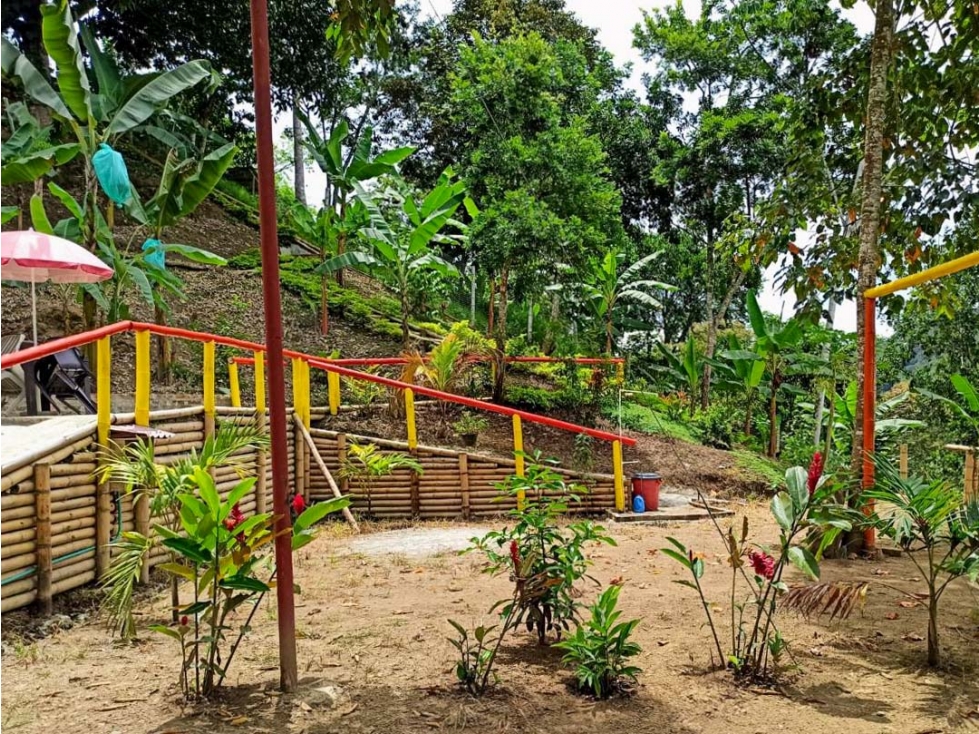Casa-lote comercial sobre la vía Alcalá-Cartago - 6