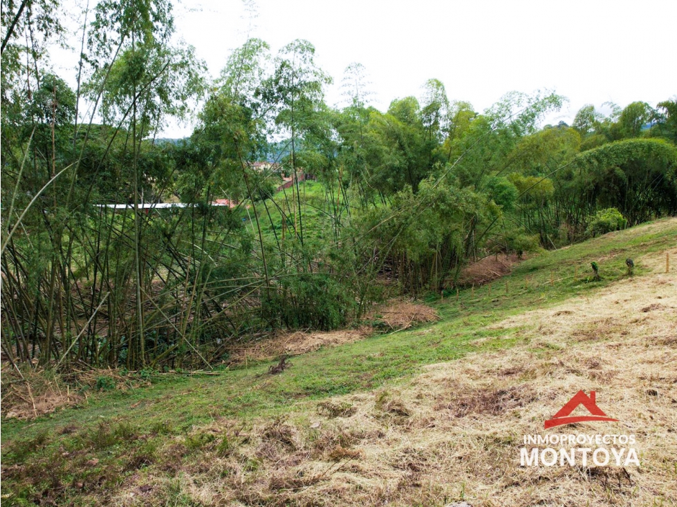 Lote a 4 min del Crucero de Combia, Pereira — foto 5
