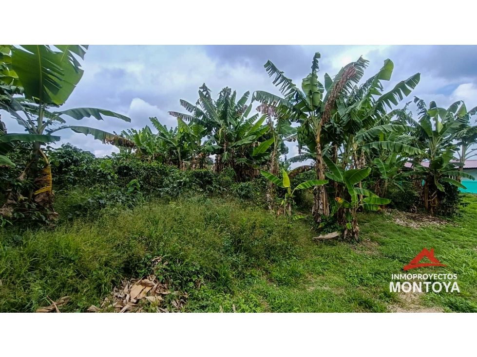Lote en Arabia, Pereira — foto 3