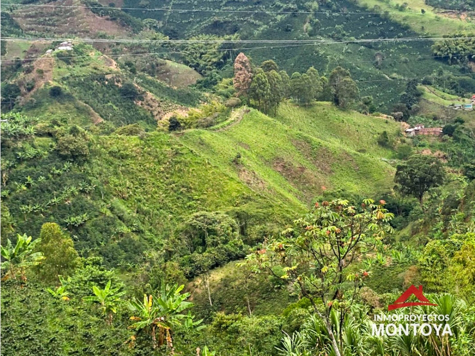 Venta finca productiva en Santa Rosa de Cabal, Risaralda — foto 3
