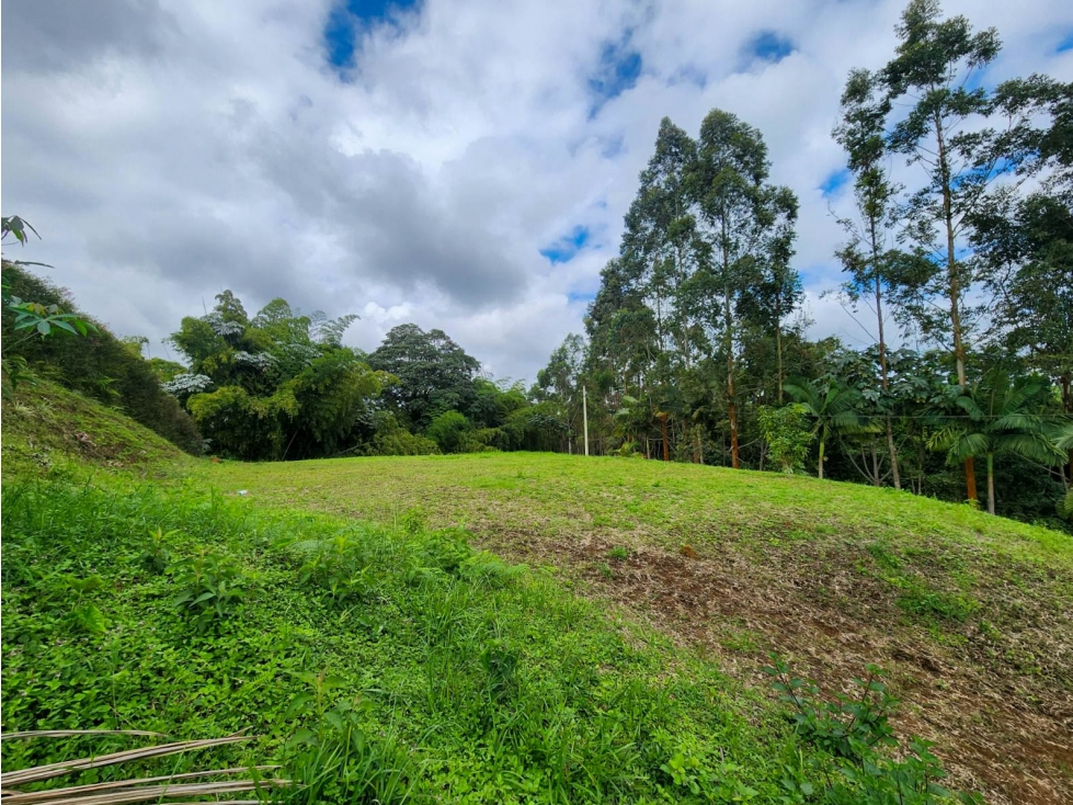 Venta Lote en parcelación, Vía Condina, Pereira — foto 4
