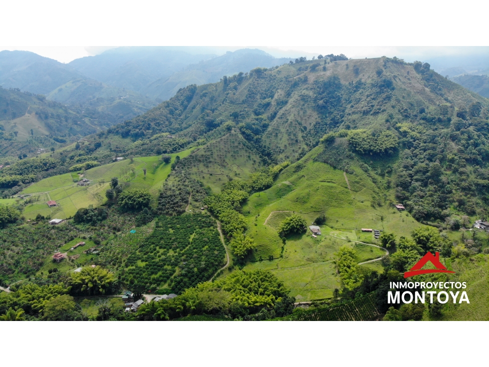 Finca productiva tecnificada exportadora en Santa Rosa de Cabal — foto 2