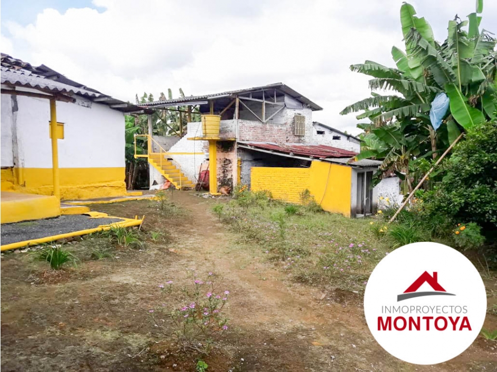 SE VENDE FINCA CAFETERA SECTOR ALTAGRACIA — foto 4