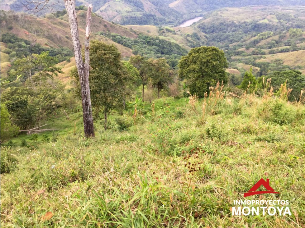 Finca de 24 cuadras en Marsella, Risaralda - 4